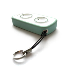 Why Evo Mini vervangende handzender (universele afstandsbediening), Pure Emerald